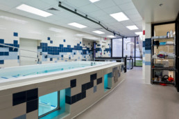 Oelrich Construction - UF College of Veterinary Medicine Physical Therapy & Surgical Suite